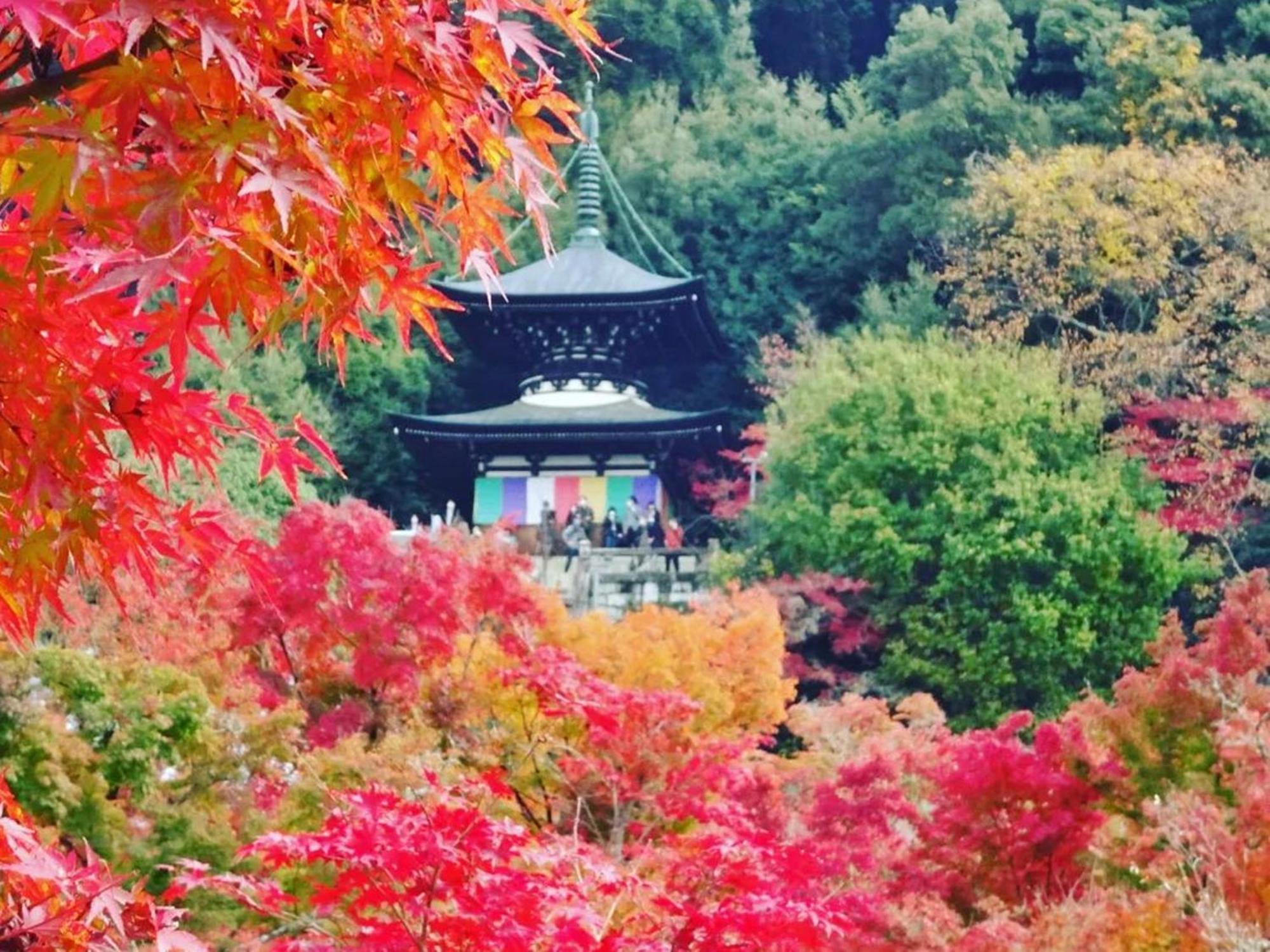 Yamamoto Ryokan Kyoto Eksteriør billede